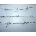 Hot Sale Barbed Wire (factory)